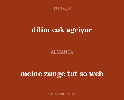 meine zunge tut so weh - dilim cok agriyor