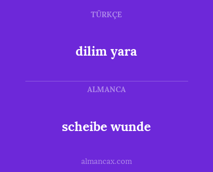 scheibe wunde - dilim yara