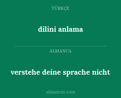 verstehe deine sprache nicht - dilini anlama