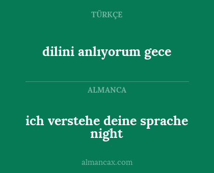 ich verstehe deine sprache night - dilini anlıyorum gece
