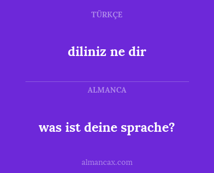 was ist deine sprache? - diliniz ne dir