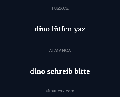 dino schreib bitte - dino lütfen yaz