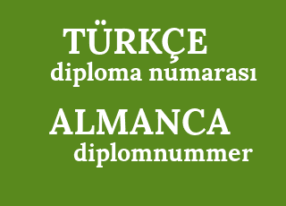 diploma+numaras%C4%B1-diplomnummer.png