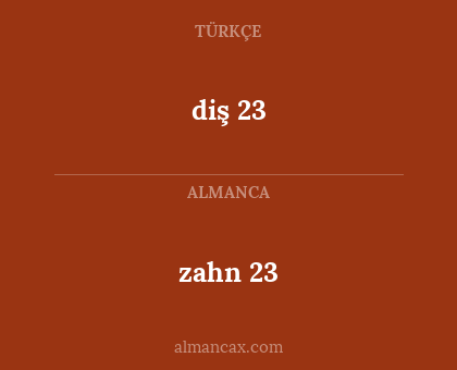 diş 23 - zahn 23