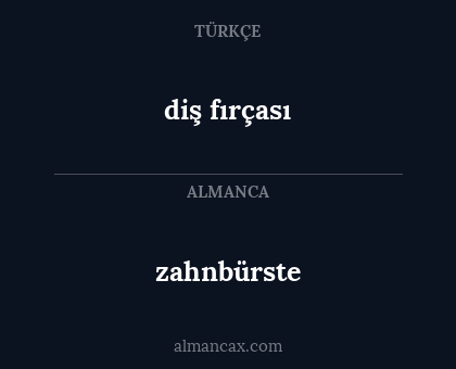 diş fırçası - zahnbürste