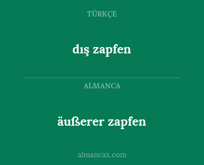 äußerer zapfen - dış zapfen
