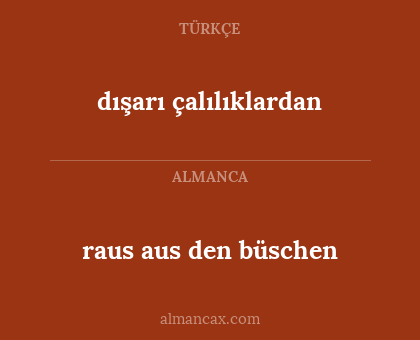 dışarı çalılıklardan - raus aus den büschen