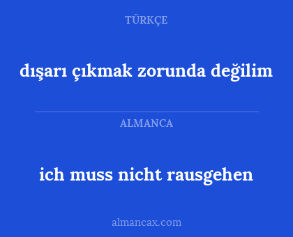 dışarı çıkmak zorunda değilim - ich muss nicht rausgehen