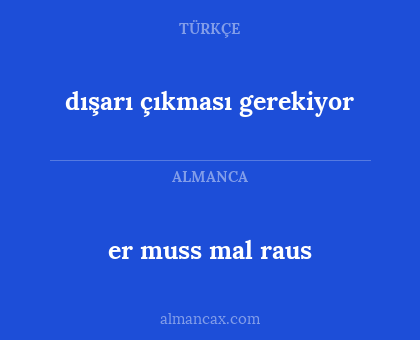dışarı çıkması gerekiyor - er muss mal raus