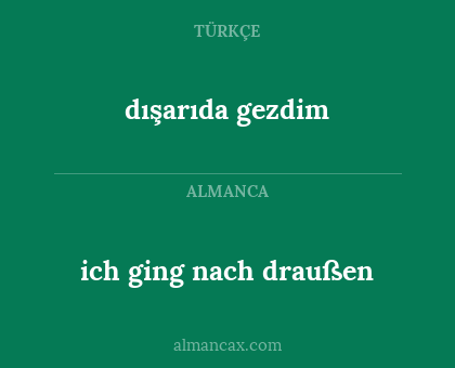dışarıda gezdim - ich ging nach draußen