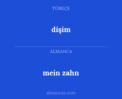 mein zahn - dişim
