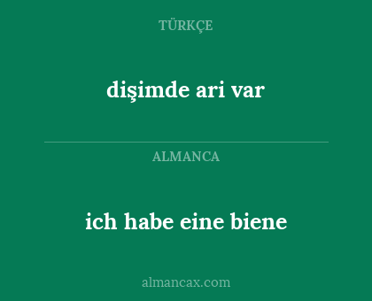 dişimde ari var - ich habe eine biene