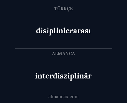 interdisziplinär - disiplinlerarası