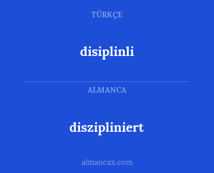 diszipliniert - disiplinli