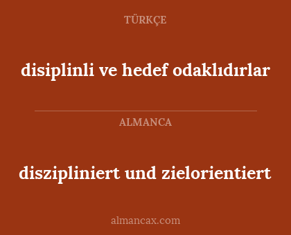 disiplinli ve hedef odaklıdırlar - diszipliniert und zielorientiert