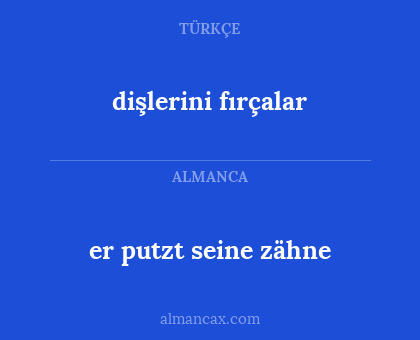 dişlerini fırçalar - er putzt seine zähne
