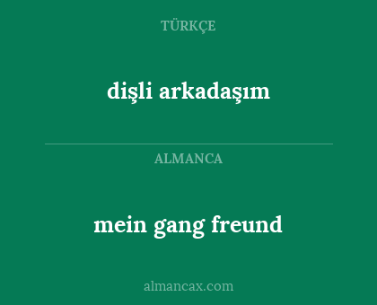 dişli arkadaşım - mein gang freund