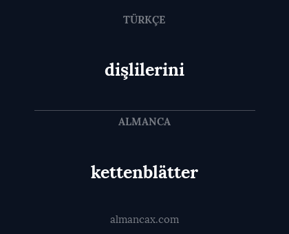 kettenblätter - dişlilerini