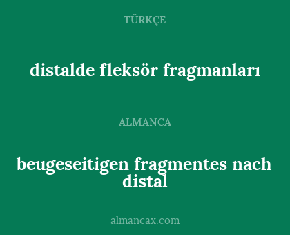 distalde fleksör fragmanları - beugeseitigen
fragmentes nach distal