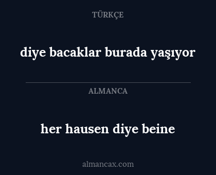 diye bacaklar burada yaşıyor - her hausen diye beine