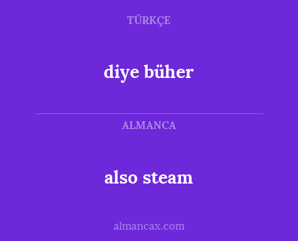 also steam - diye büher