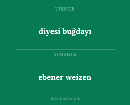 diyesi buğdayı - ebener weizen