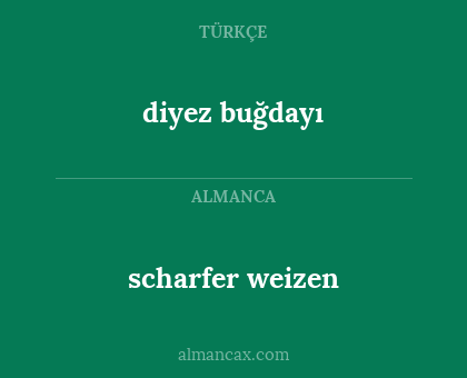 scharfer weizen - diyez buğdayı