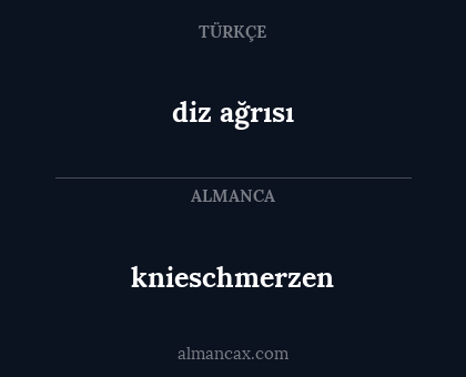 knieschmerzen - diz ağrısı