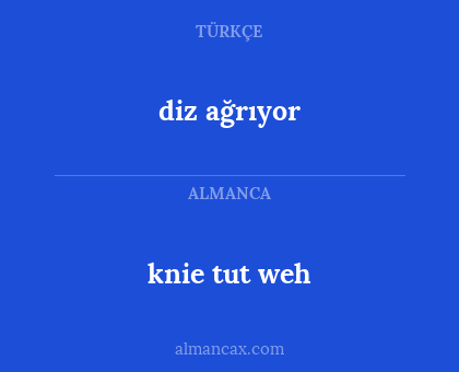 diz ağrıyor - knie tut weh