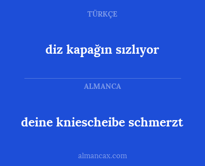 diz kapağın sızlıyor - deine kniescheibe schmerzt