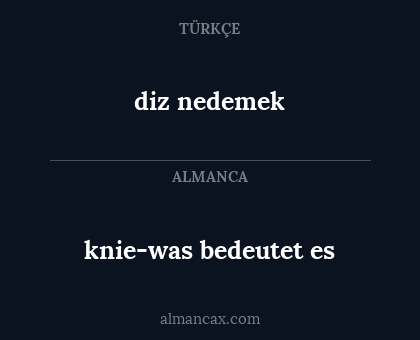 diz nedemek - knie-was bedeutet es