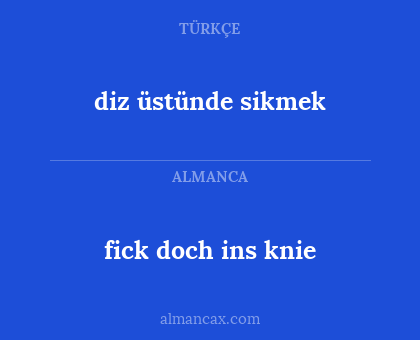 diz üstünde sikmek - fick doch ins knie