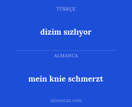 mein knie schmerzt - dizim sızlıyor