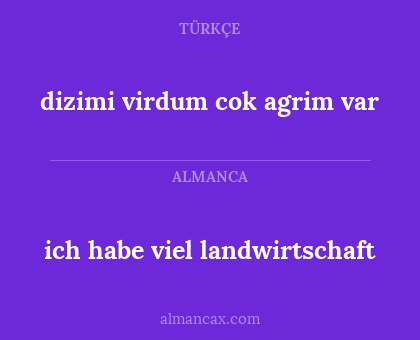 dizimi virdum cok agrim var - ich habe viel landwirtschaft