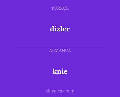 knie - dizler