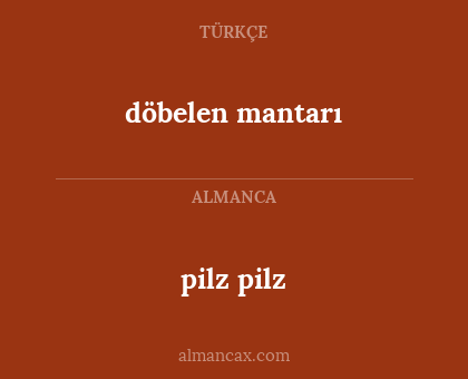 pilz pilz - döbelen mantarı