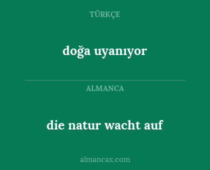 doğa uyanıyor - die natur wacht auf