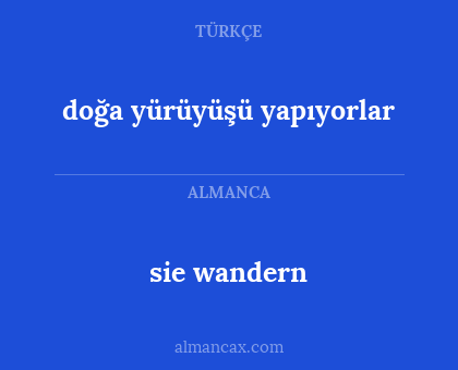 doğa yürüyüşü yapıyorlar - sie wandern