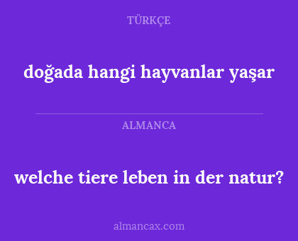 welche tiere leben in der natur? - doğada hangi hayvanlar yaşar