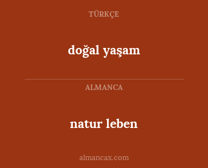doğal yaşam - natur leben