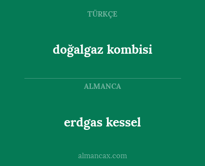 erdgas kessel - doğalgaz kombisi