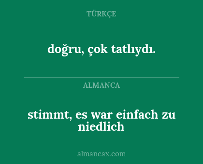 doğru, çok tatlıydı. - stimmt, es war einfach zu niedlich
