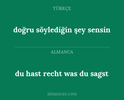 doğru söylediğin şey sensin - du hast recht was du sagst