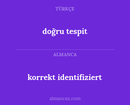 doğru tespit - korrekt identifiziert
