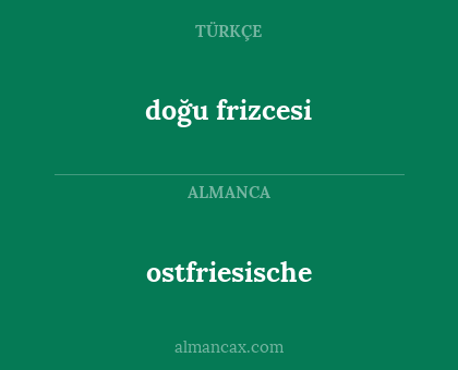 ostfriesische - doğu frizcesi