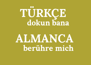 dokun+bana-ber%C3%BChre+mich.png