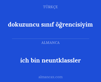ich bin neuntklassler - dokuzuncu sınıf öğrencisiyim