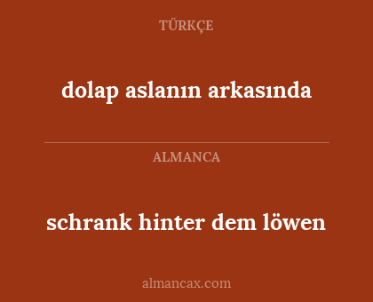 dolap aslanın arkasında - schrank hinter dem löwen