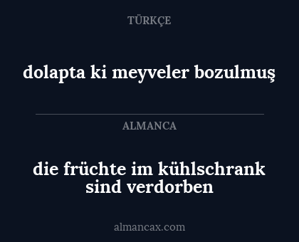 dolapta ki meyveler bozulmuş - die früchte im kühlschrank sind verdorben