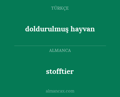 stofftier - doldurulmuş hayvan